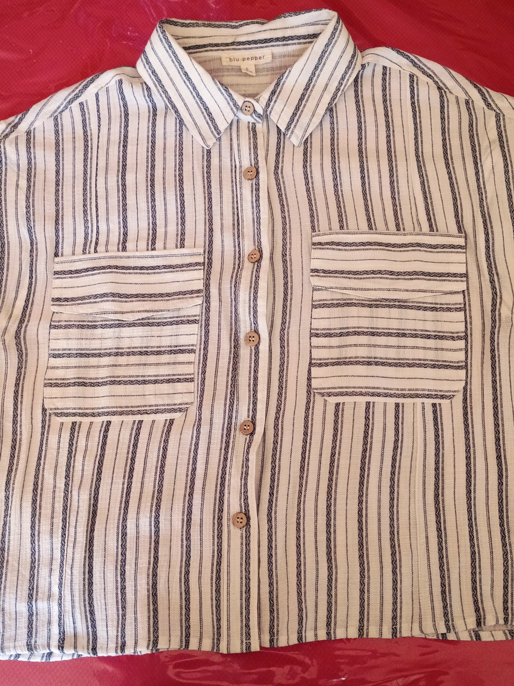 Blu Pepper White Button-Down Shirt with Navy Vertical Stripes